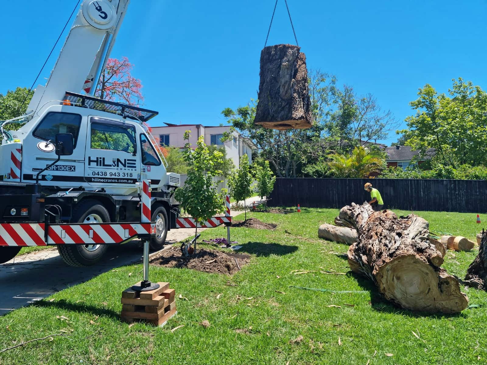Professional tree care service